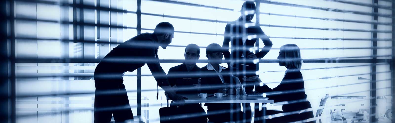 banner_ngi4020-20history1